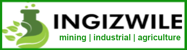 ingiznew2 ingiznew2